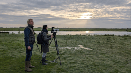 Vroege Vogels
