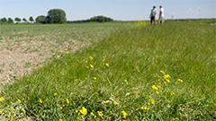 BNNVARA