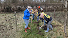 BoerenBoomFeestdag