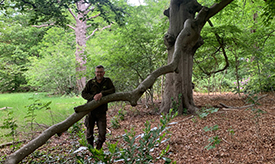 moederbos