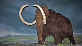 Wolharige mammoet