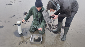 Gaswinning op het wad