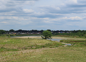 Conflict over dam in de Grensmaas