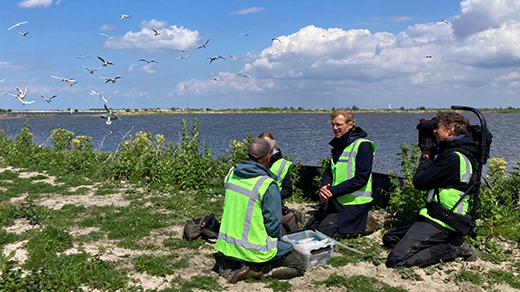 Marker Wadden Vroege Vogels TV