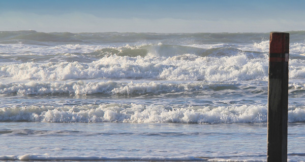 Texel