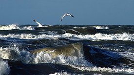 Noordzee
