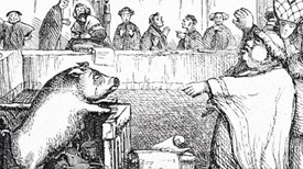 Dierenrechtszaken