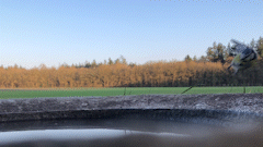 Zelf Geschoten