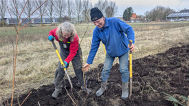 Bomen planten